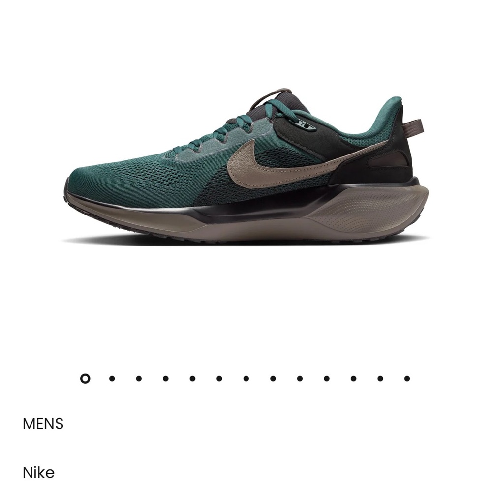 Nike Men's Teal and Black Running Shoes